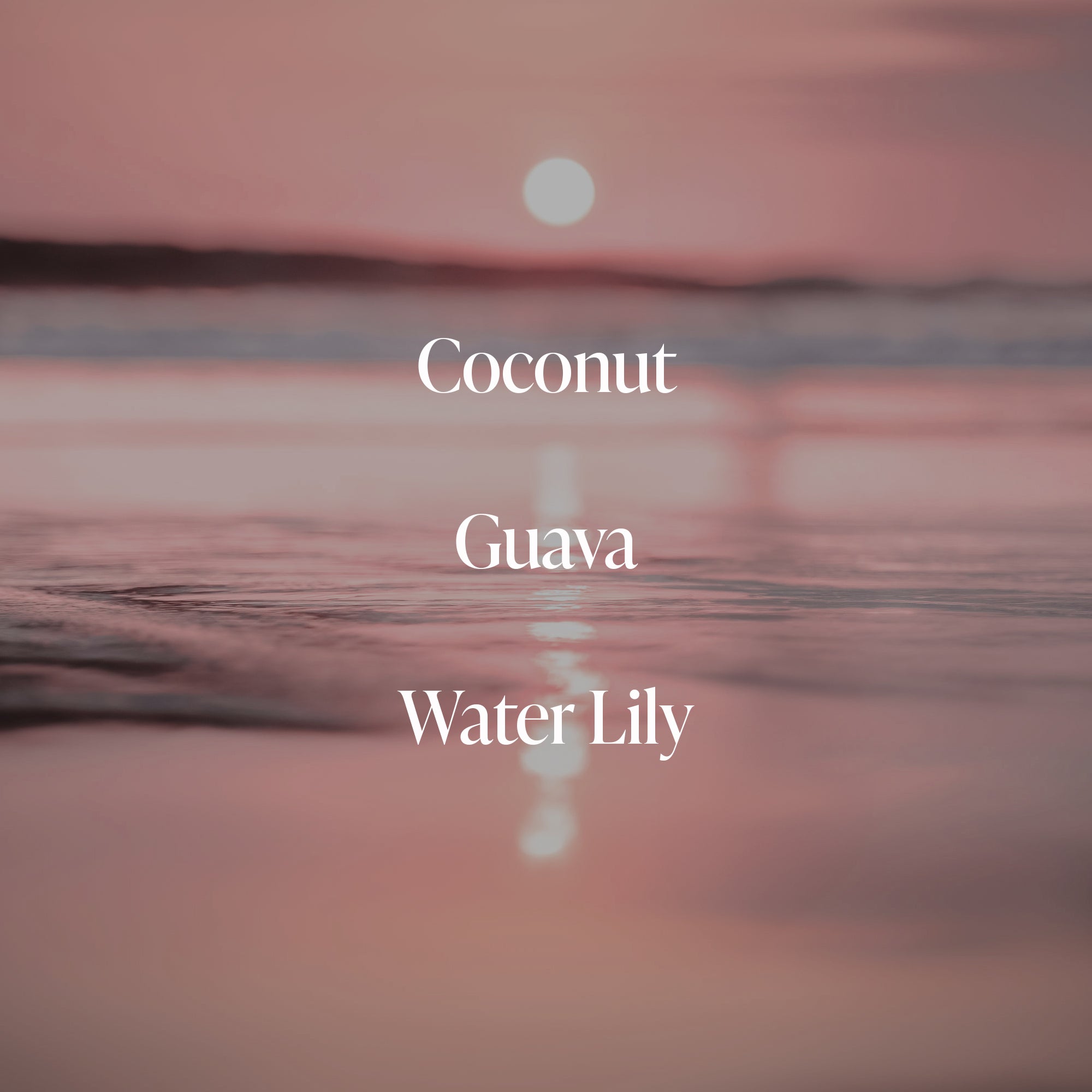 Coral Coast - Body Rituals Set